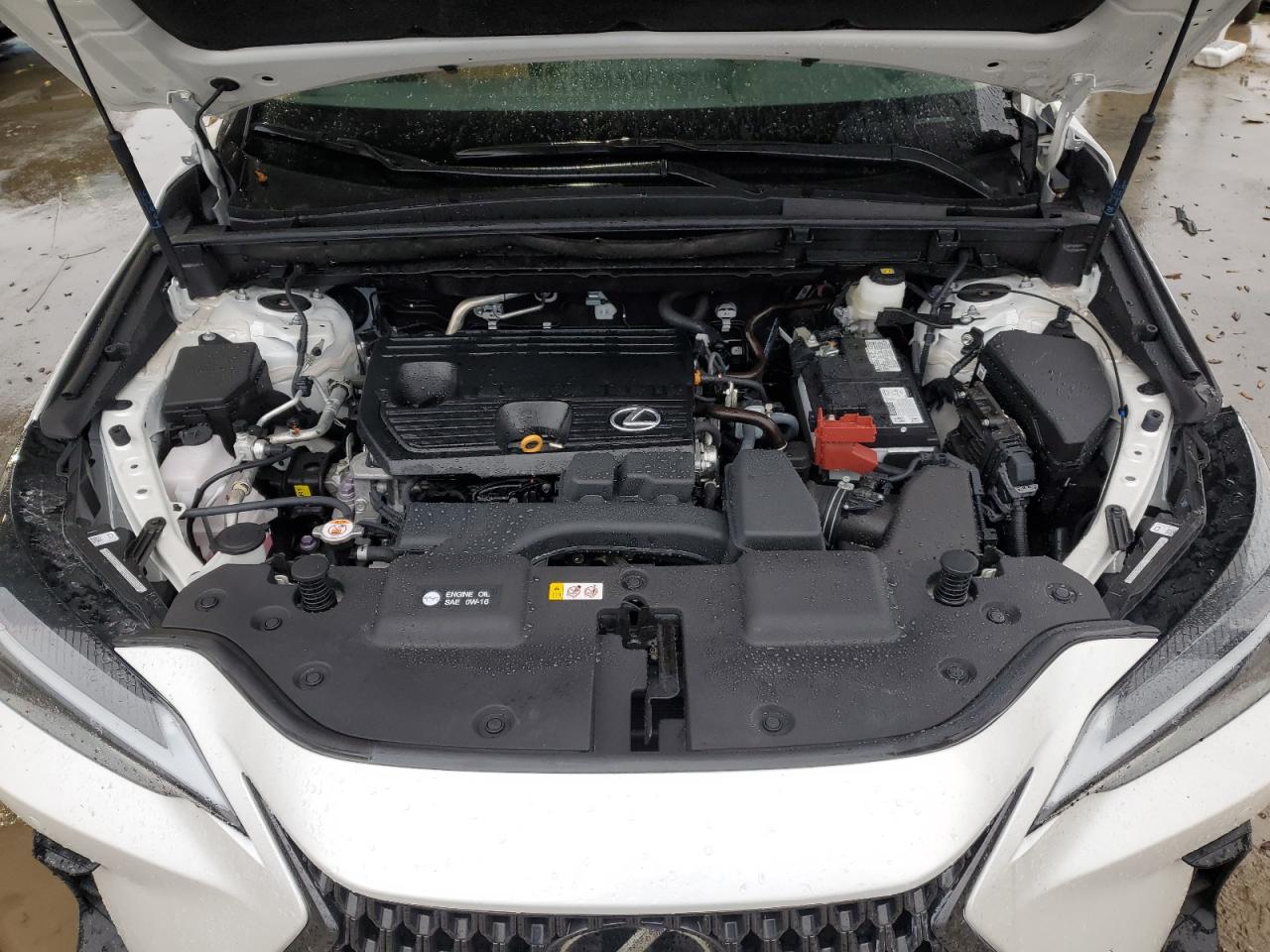 2024 LEXUS NX 250 PREMIUM VIN:2T2GDCAZ2RC012246
