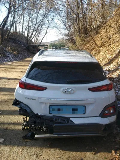 2020 Hyundai Kona KMHK381GFLU096627 VIN:KMHK381GFLU096627