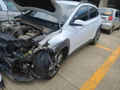2019 Hyundai Kona KMHK4815GKU351666 VIN:KMHK4815GKU351666