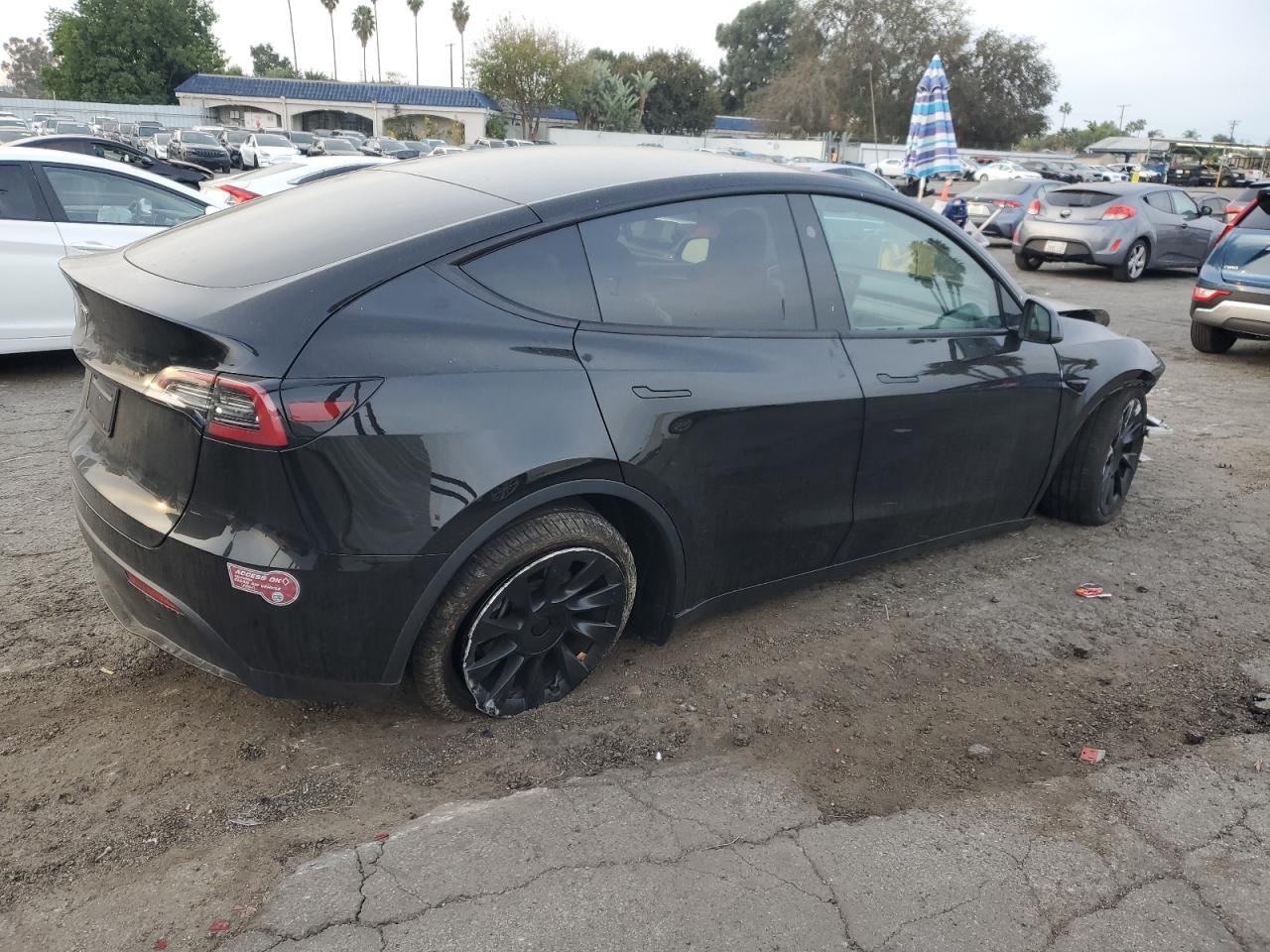 2024 TESLA MODEL Y  VIN:7SAYGDED8RF094440