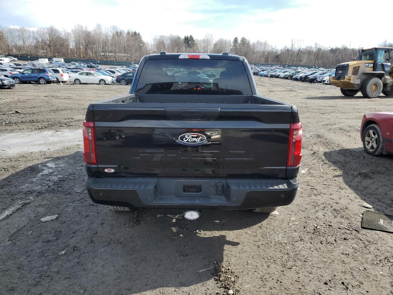2024 FORD F150 STX VIN:1FTEW2LP3RKF10031