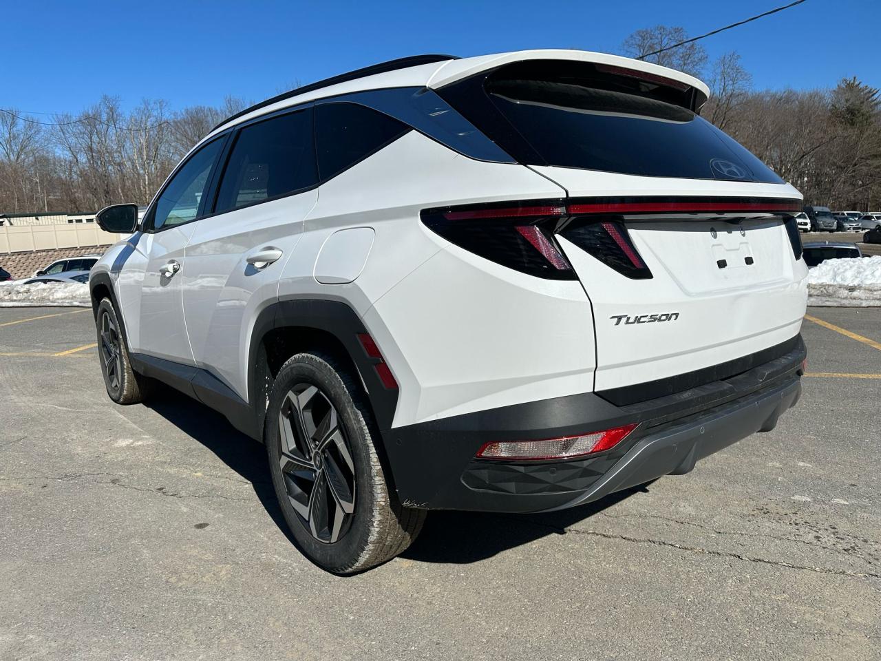 2024 HYUNDAI TUCSON LIMITED VIN:5NMJECDE6RH307280