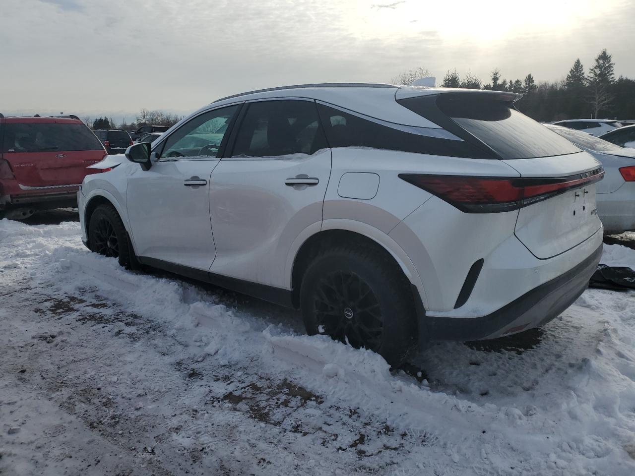 2023 LEXUS RX 350H BASE VIN:2T2BBMCAXPC008634