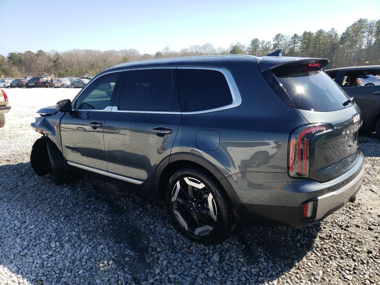 2024 KIA TELLURIDE EX VIN:5XYP3DGC8RG556240