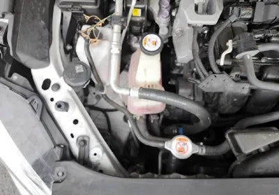 2019 Toyota Camry JTNB21HK8K3043500 VIN:JTNB21HK8K3043500