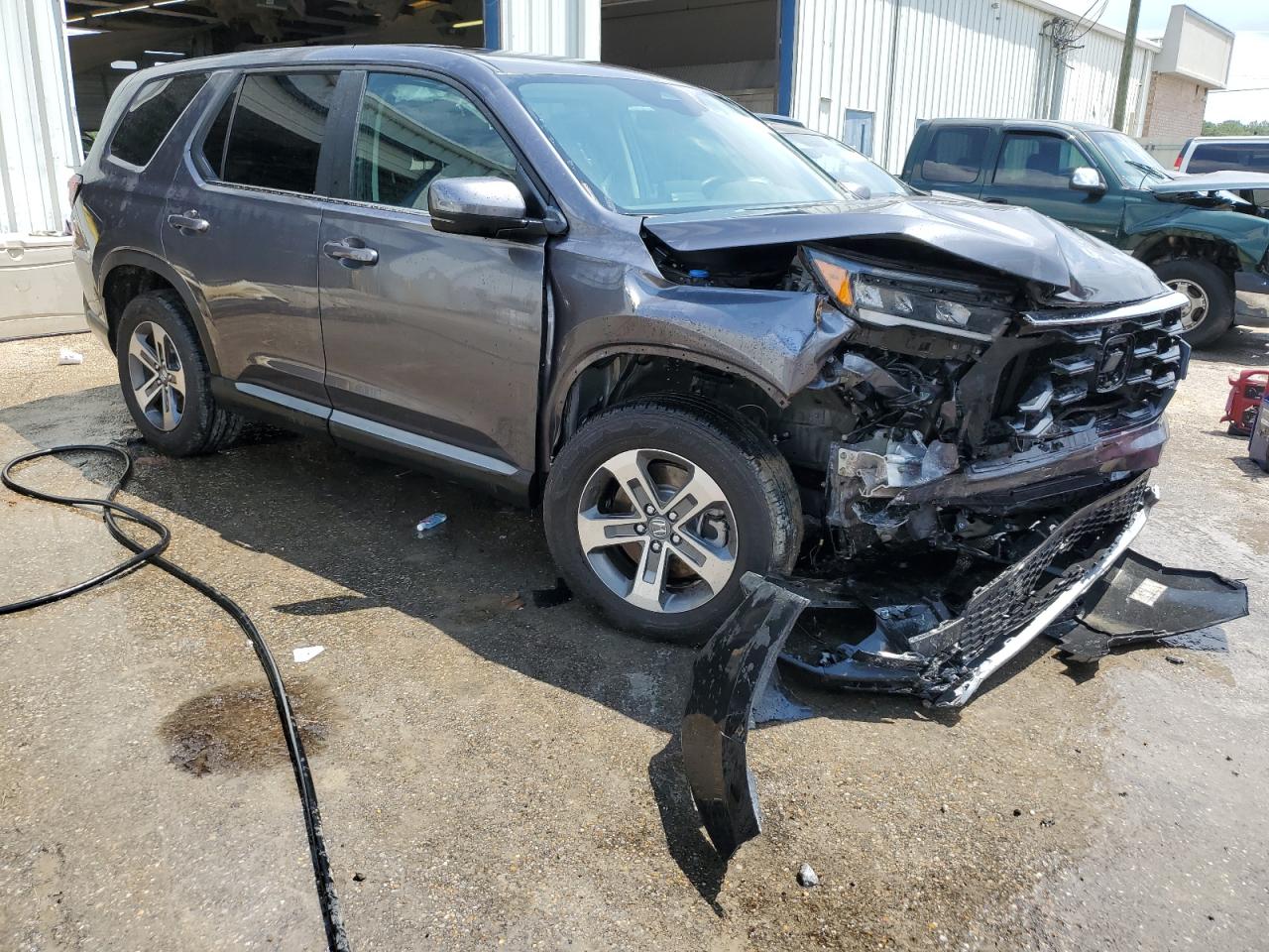 2024 HONDA PILOT EXL VIN:5FNYG2H40RB000225