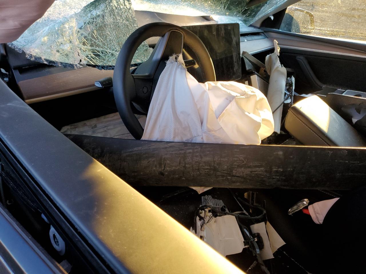 2024 TESLA MODEL Y  VIN:7SAYGDEE4RA319880