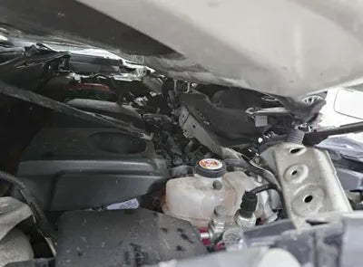 2019 Toyota RAV4 VIN: