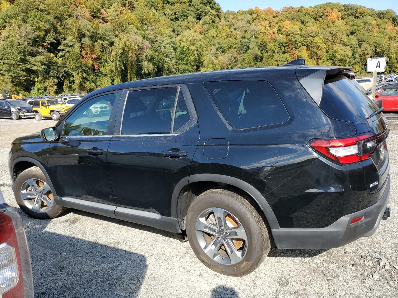 2024 HONDA PILOT EXL VIN:5FNYG1H51RB019899