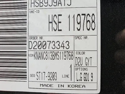 2021 Kia Carnival KNANC813BMS119768 VIN:KNANC813BMS119768