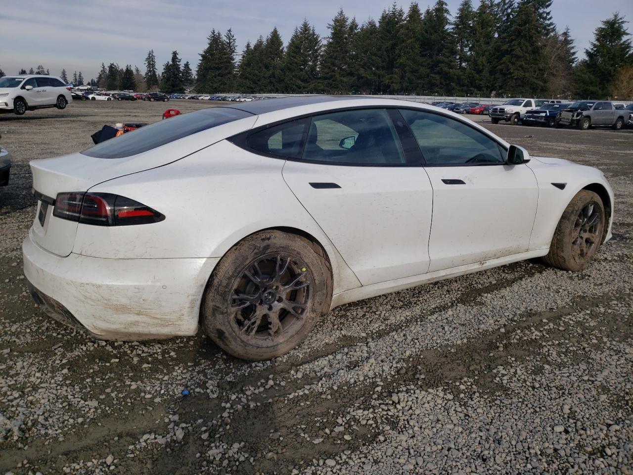 2023 TESLA MODEL S  VIN:5YJSA1E53PF500259