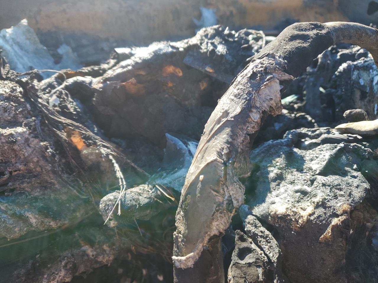 2023 SUBARU FORESTER TOURING VIN:JF2SKARC2PH514533