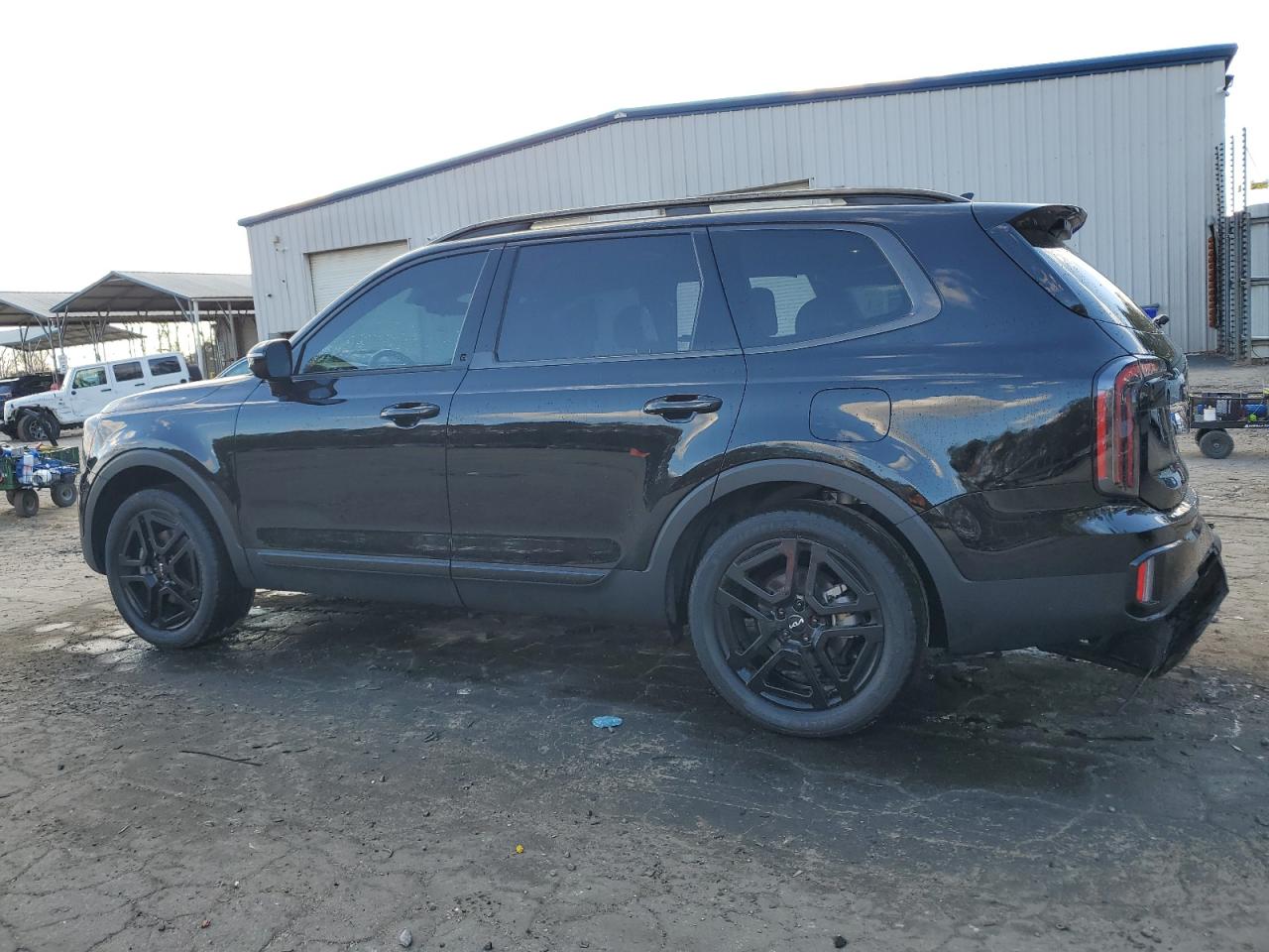 2024 KIA TELLURIDE SX VIN:5XYP5DGC1RG481052