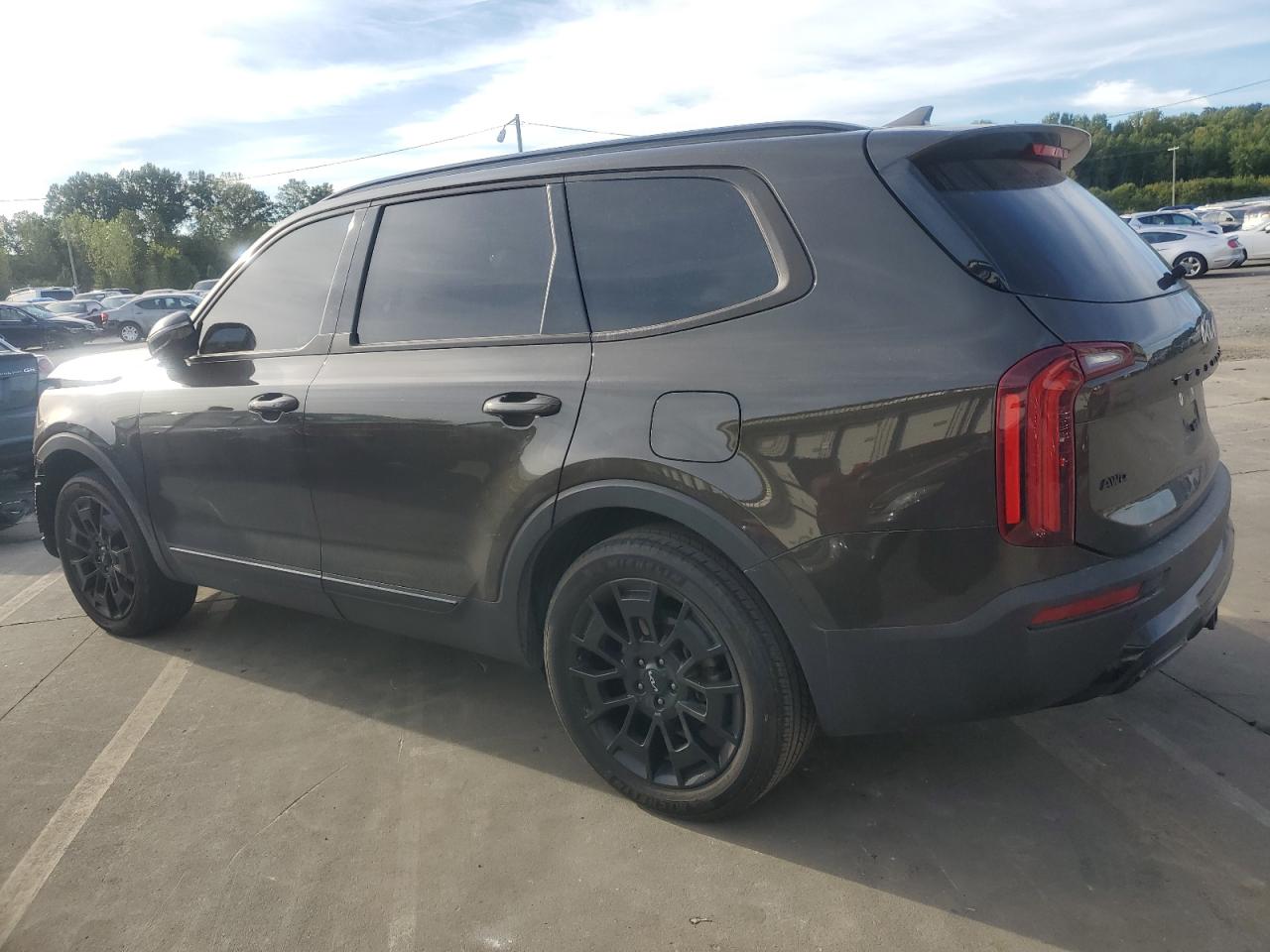 2022 KIA TELLURIDE SX VIN:5XYP5DHC6NG302450