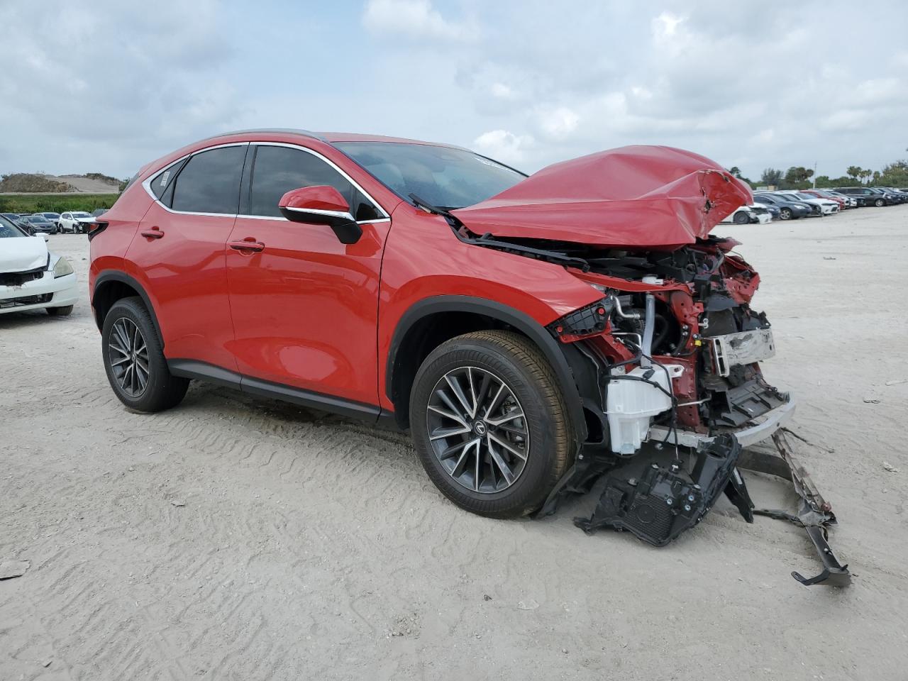 2024 LEXUS NX 250 BASE VIN:2T2ADCAZ6RC013762