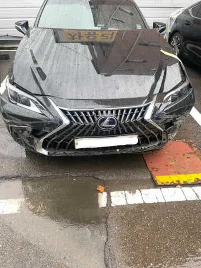 2022 Lexus ES 300 JTHBA1C16N2007450 VIN:JTHBA1C16N2007450