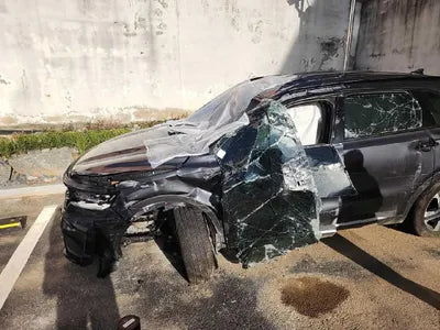 2023 Kia Sorento KNARL81GBPA179984 VIN:KNARL81GBPA179984