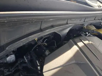 2021 Kia Sorento KNARK81BHNA133310 VIN:KNARK81BHNA133310
