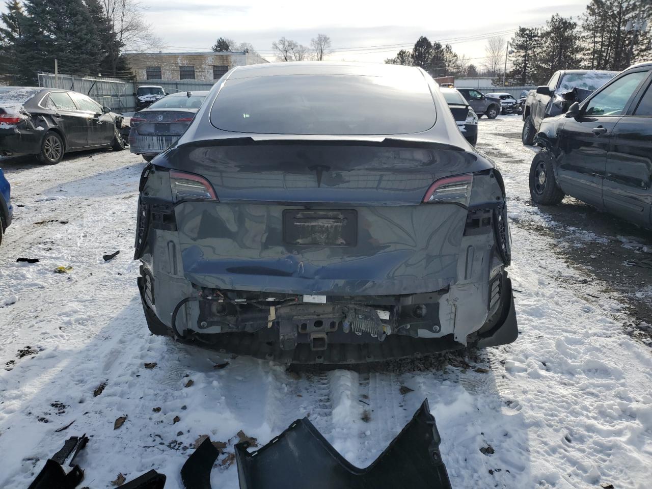 2023 TESLA MODEL Y  VIN:7SAYGDEEXPF883467