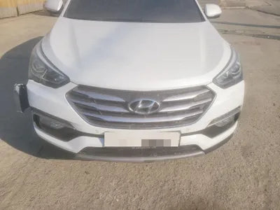 2017 Hyundai Santa FE KMHSW81UBJU804806 VIN:KMHSW81UBJU804806