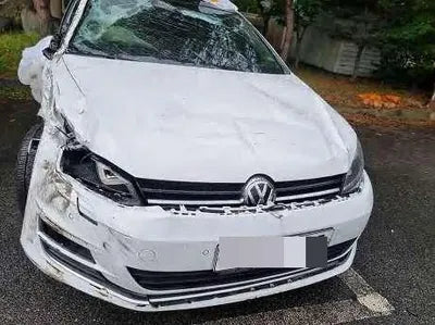 2015 Volkswagen Golf WVWZZZAUZGW021789 VIN:WVWZZZAUZGW021789