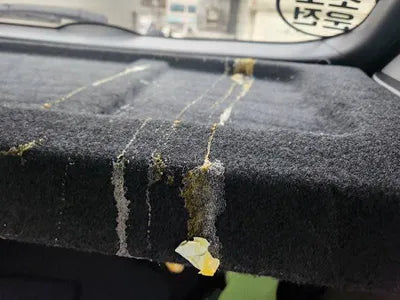 2021 Hyundai Kona KMHK381BEMU769832 VIN:KMHK381BEMU769832