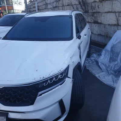2021 Kia Sorento KNARH81BGMA085457 VIN:KNARH81BGMA085457