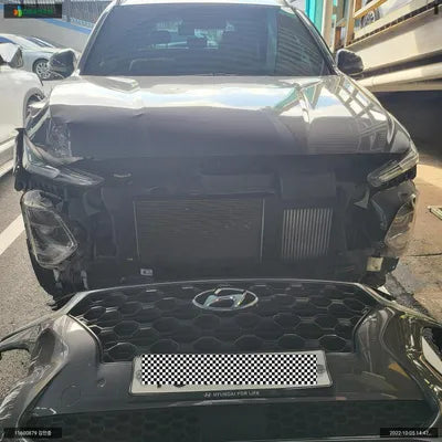 2019 Hyundai Santa FE KMHS381ABLU217424 VIN:KMHS381ABLU217424