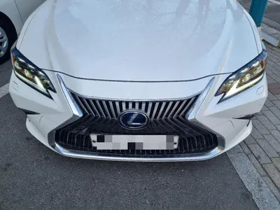 2019 Lexus ES 300 JTHB21B13K2065428 VIN:JTHB21B13K2065428
