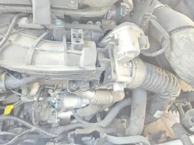 2017 Kia Sorento KNAPG81ABJA385244 VIN:KNAPG81ABJA385244