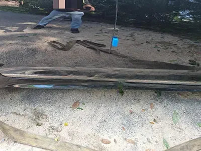 2017 Genesis G80 NONE VIN: