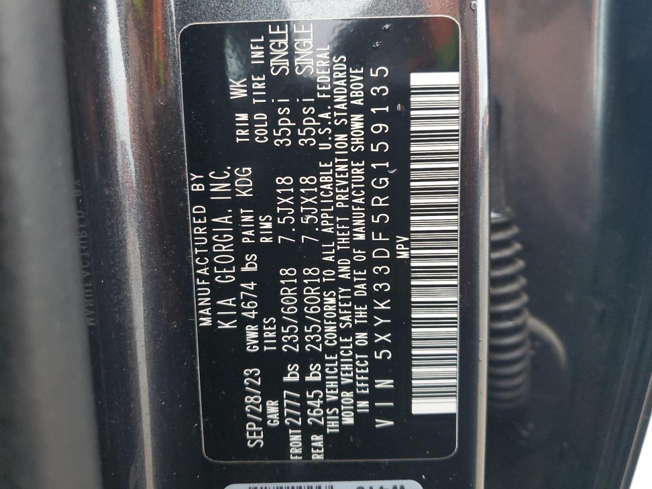 2024 KIA SPORTAGE EX VIN:5XYK33DF5RG159135