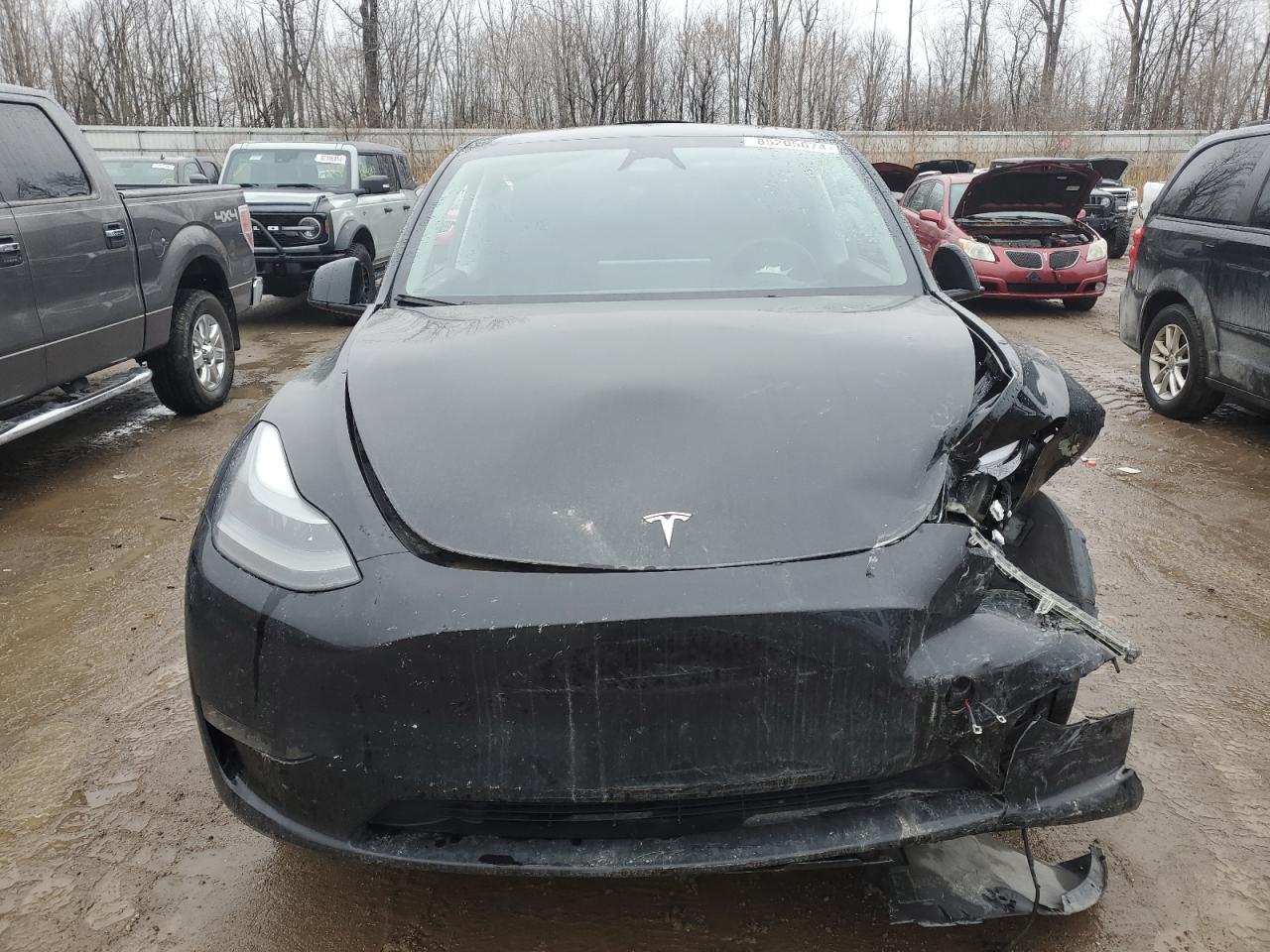 2023 TESLA MODEL Y  VIN:7SAYGDEE8PA189650