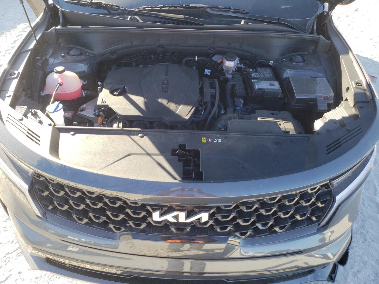 2023 KIA SORENTO S VIN:5XYRL4LC0PG230850