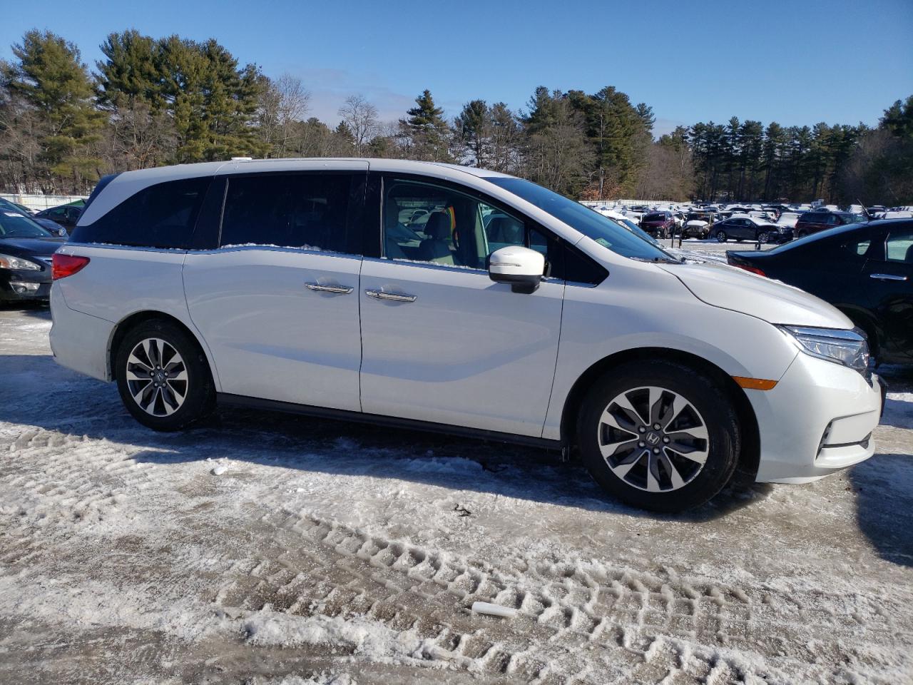 2024 HONDA ODYSSEY EXL VIN:5FNRL6H65RB064382