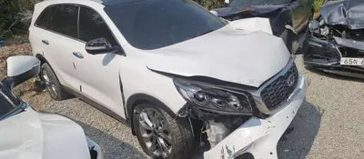 2019 Kia Sorento KNAPS81BBLA564800 VIN:KNAPS81BBLA564800