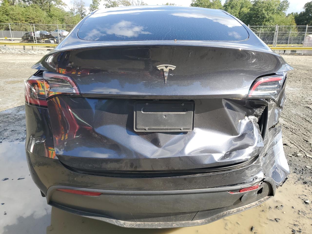 2024 TESLA MODEL Y  VIN:7SAYGDED6RF091911
