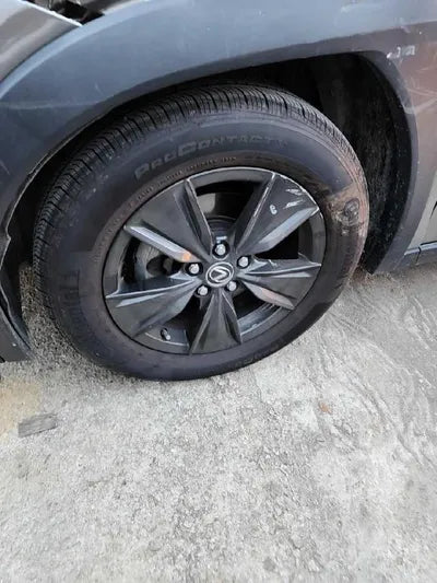 2020 Lexus UX 250 VIN: