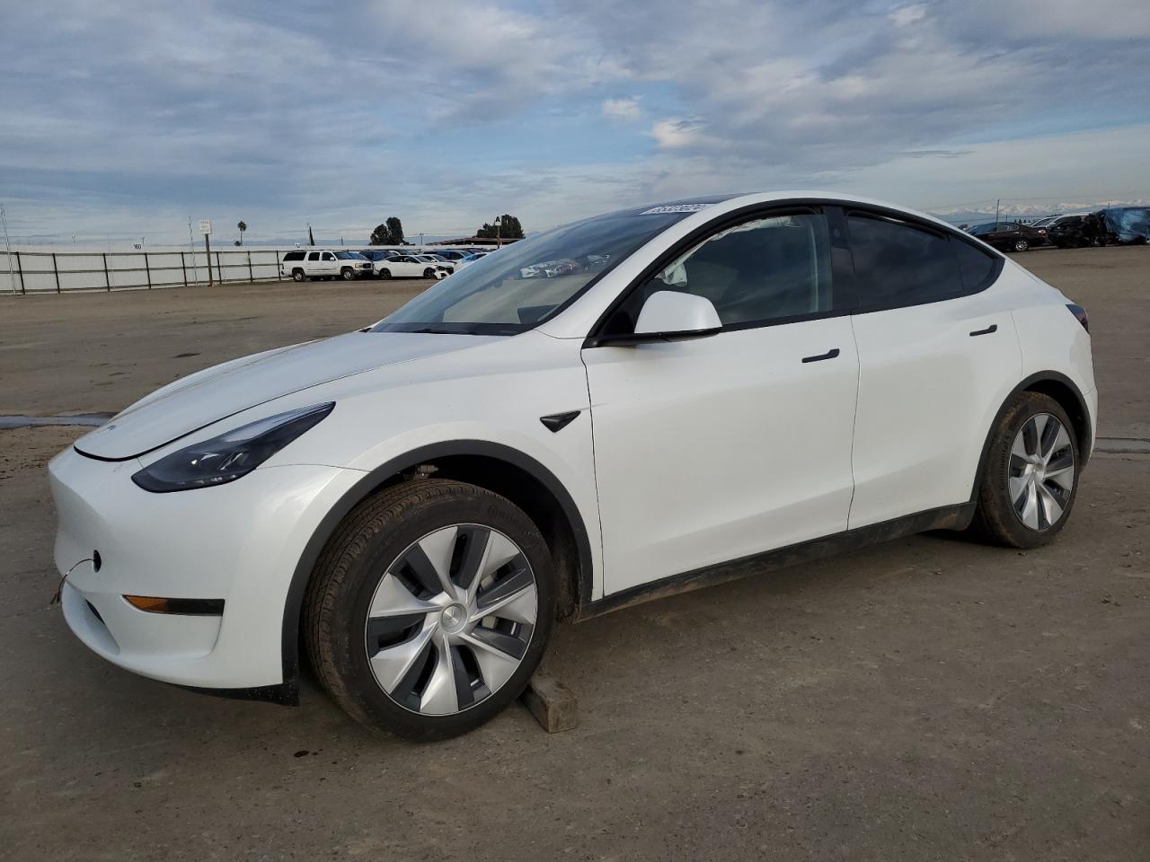 2024 TESLA MODEL Y  VIN:7SAYGDED7RF026100
