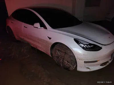 2020 Tesla Model 3 5YJ3E1EB9LF750825 VIN:5YJ3E1EB9LF750825