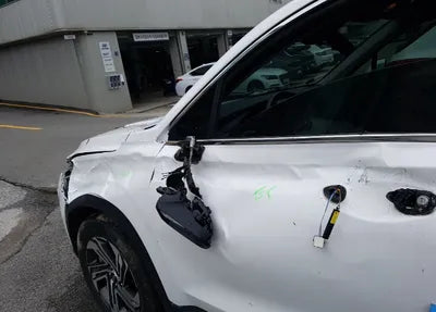 2021 Hyundai Santa FE KMHS281LGMU385620 VIN:KMHS281LGMU385620