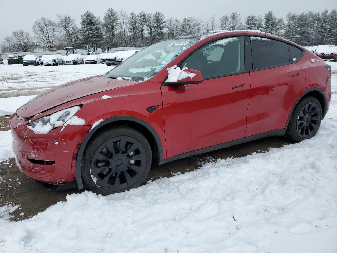 2023 TESLA MODEL Y  VIN:7SAYGDEE1PA128933
