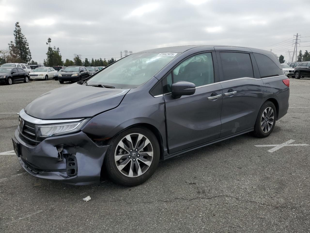 2023 HONDA ODYSSEY EXL VIN:5FNRL6H66PB080121