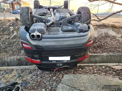 2019 Hyundai Santa FE KMHS381CBKU019453 VIN:KMHS381CBKU019453