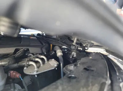 2022 Volkswagen Golf WVWZZZCDZNW123123 VIN:WVWZZZCDZNW123123