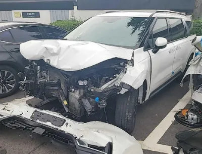 2021 Kia Carnival KNANE81BBMS117645 VIN:KNANE81BBMS117645