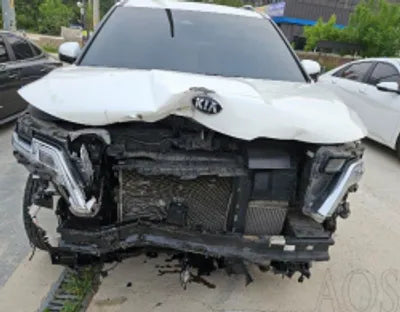 2021 Kia Carnival KNANC81BBMS042269 VIN:KNANC81BBMS042269