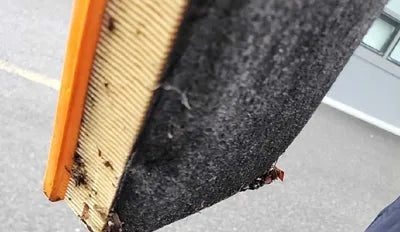 2015 BMW 320 WBA3Y5107FD951831 VIN:WBA3Y5107FD951831