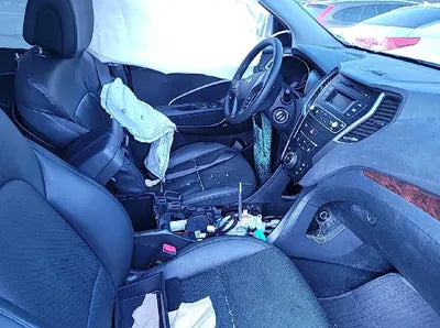 2018 Hyundai Santa FE KMHSU81UBJU820207 VIN:KMHSU81UBJU820207