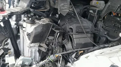 2021 Kia Carnival KNANC81BBMS037923 VIN:KNANC81BBMS037923